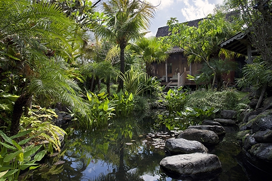 Villa Radha - Entrance pond